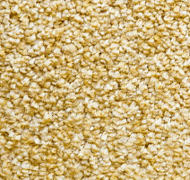 Ковролин AW Masquerade Certosa 50 фото 1 | FLOORDEALER